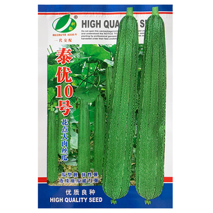 泰优10号花点大肉丝瓜种籽子耐热耐寒厚肉棱角甜丝瓜种子蔬菜种孑