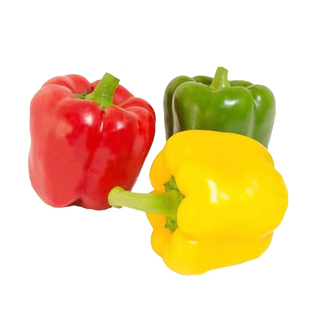 山东寿光彩椒新鲜生吃五彩椒当季现摘圆椒红黄绿青椒甜椒新鲜蔬菜