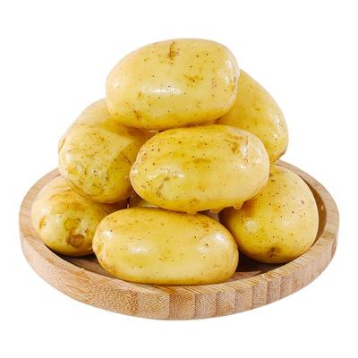 黄皮黄心小土豆新鲜沙面洋芋马铃薯现挖整箱批发包邮