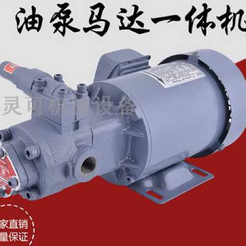 NOP Trochold Pump油泵电机组TOP-2MY750-0.75KW TOP-208HTM—议