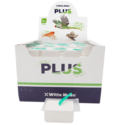 鹦鹉啃咬荷兰维特魔轮矿物质