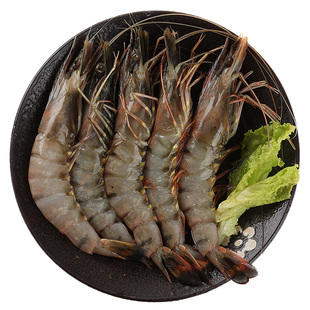 黑虎虾鲜活超大速冻商用大虾青岛新鲜海鲜水产深海捕捞活冻黑金刚