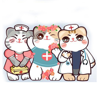 北京猫绝育母猫绝育手术 微创免拆线 公猫绝育宠物医生团队上门