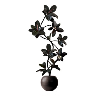 特级黑金刚橡皮树大型客厅大盆栽绿植高级感室内植物落地好养真树