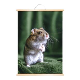 十二生肖动物挂画鼠牛虎兔龙蛇马羊猴鸡狗猪图客厅装饰画实木卷轴