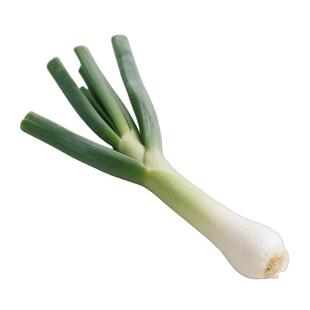 老品种鸡腿葱种子长白鸡腿大头葱四季高产易活阳台庭院种植蔬菜种