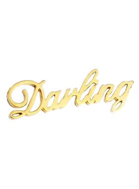 定制刻字logo拍照品牌半永久胸针