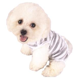 狗狗衣服春夏季护肚衣全包绝育服母狗术后泰迪比熊博美断奶防掉毛