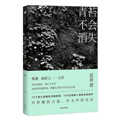 【袁凌作品】青苔不会消失 只要世上还有一个穷人 袁凌 著 柴静、胡舒立 力荐 中信出版社图书 畅销书 正版书籍