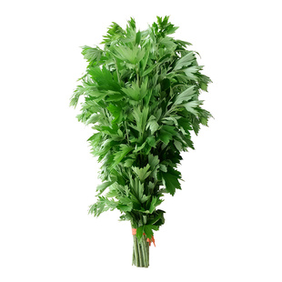 端午节新鲜艾草青艾整棵端午插门窗艾蒿泡澡儿童艾浴花材礼品花束
