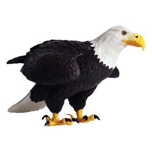 儿童玩具实心仿真野生动物世界鸟类模型摆件老鹰大号白头海雕手办