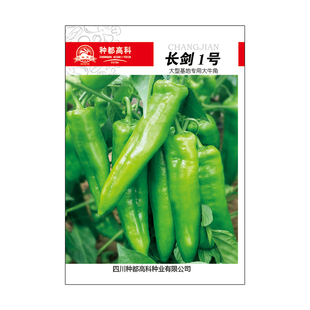 长剑1号大牛角椒种子春季露地秋季微辣黄绿皮长辣椒大果尖椒种籽