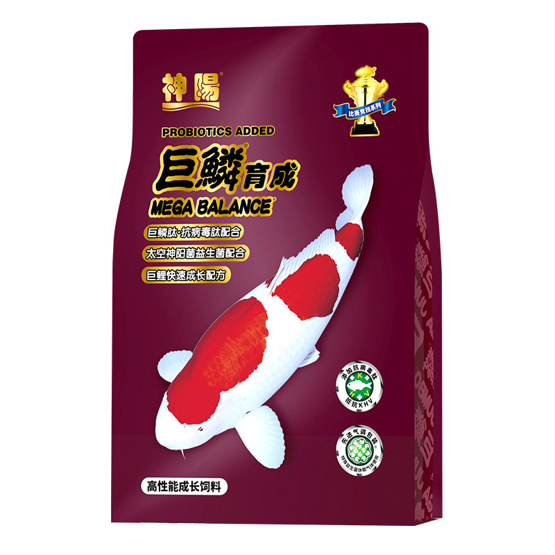 神阳巨鳞锦鲤育成增体增色鱼粮