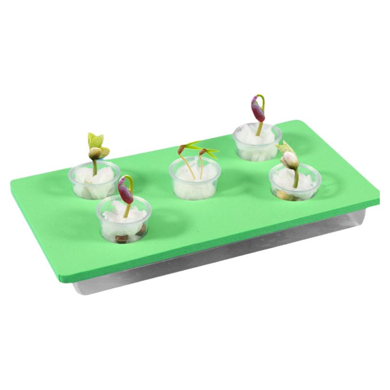 种子发芽手工DIY科技
