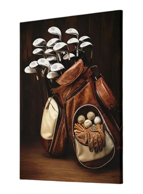 GOLF PRINT高尔夫复古美式怀旧装饰画无框画球杆老虎伍兹VINTAGE