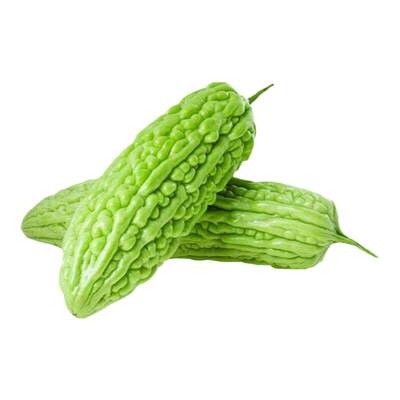 苦瓜苗带土高产特大号高产苗蔬菜