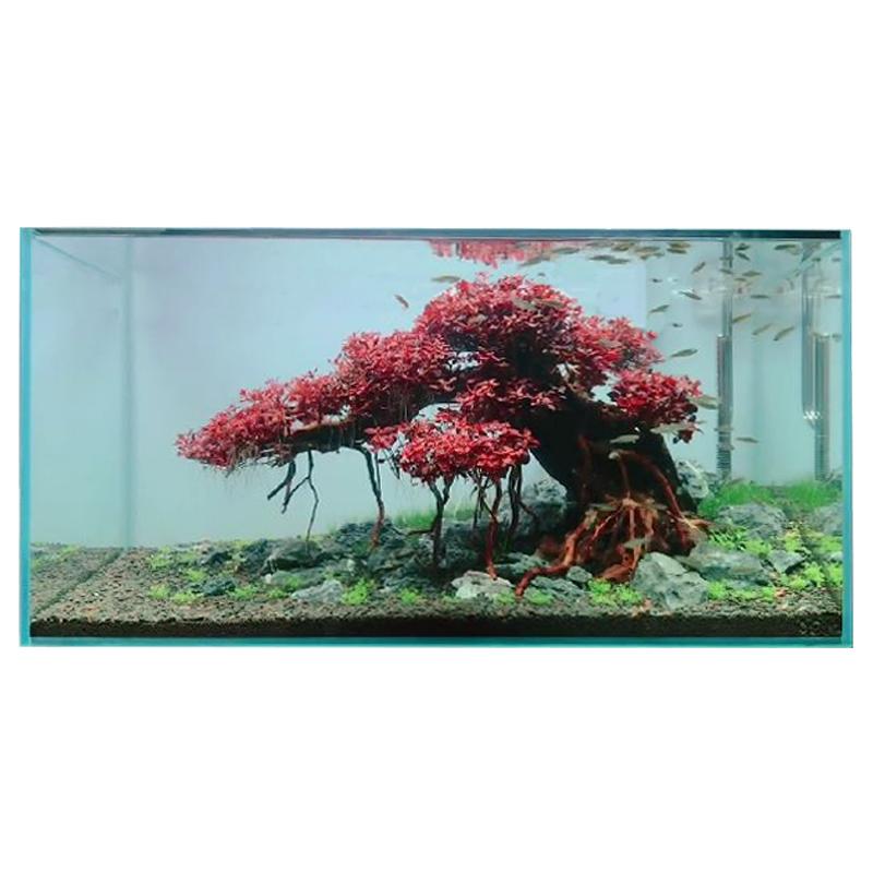 金晶五线超白玻璃鱼缸定制长方形水草乌龟缸造景鱼缸中小型水族箱