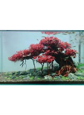 鱼缸客厅定制金晶超白玻璃鱼造景