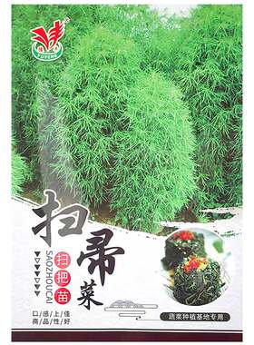 扫帚菜种子种籽孑菜籽菜种扫把菜苗四季蔬菜阳台盆栽秋季地肤子苗