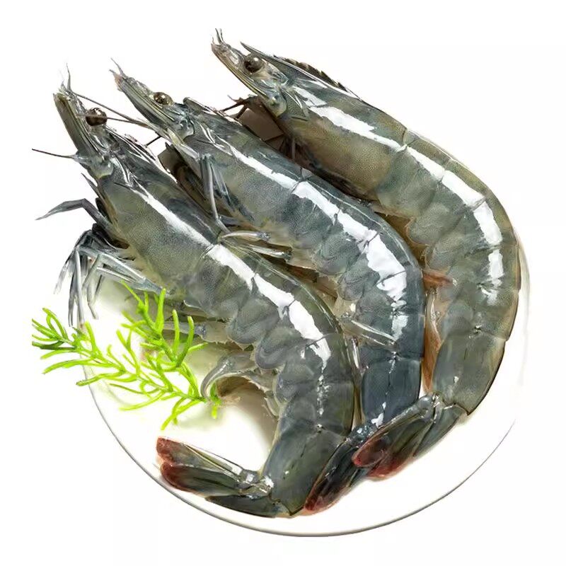 0%激素有机无抗盐田大虾母婴级