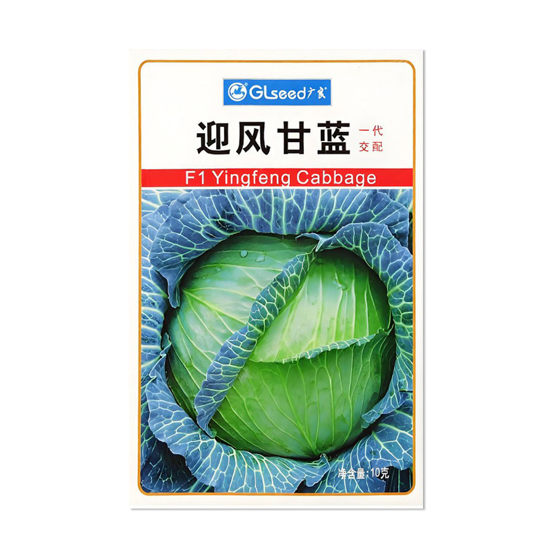 广良迎风甘蓝种子日本越冬甘蓝