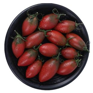 紫子弹头小番茄新鲜圣女果组合小西红柿当季水果3-5斤现摘包邮