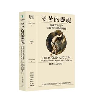 【现货】受苦的灵魂:从深度心理学看痛苦的经验与转化 港台繁体心灵原版图书外版进口书籍 莱侬.科贝特