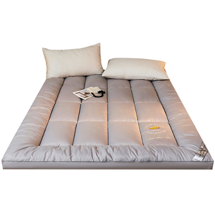 床垫家用卧室软垫加厚保暖10cm褥子榻榻米学生宿舍折叠床褥垫被睡