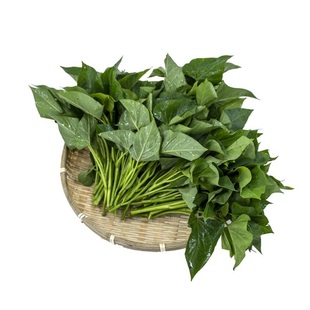 东升农场 供港番薯叶红薯叶新鲜农场种植生鲜番薯苗现采直送300g