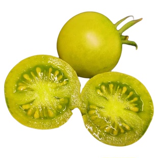 超甜青甜小番茄苗秧绿色四季千禧圣女果阳台盆栽矮生黑珍珠番茄苗