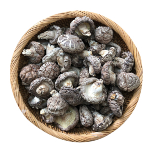 神农架深山老林采摘木头长的香菇蘑菇干货小香菇菌无熏硫椴木花菇