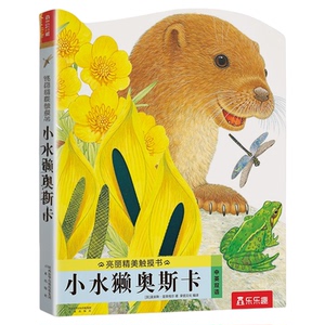 触摸书0-3岁幼儿早教小兔比利