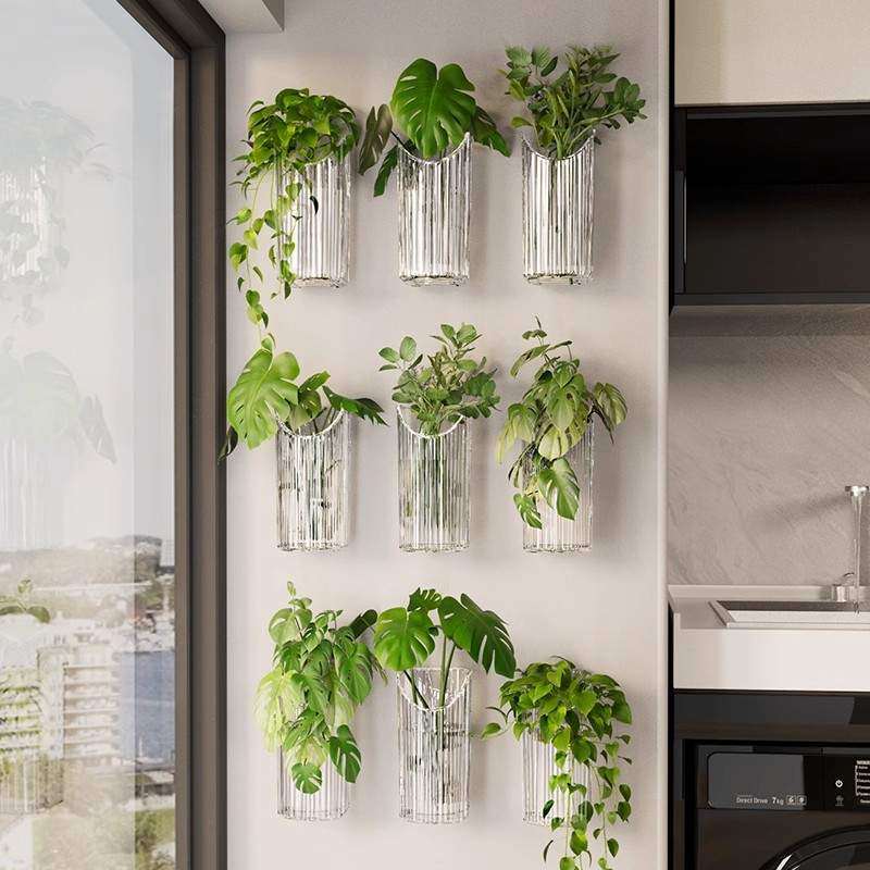 水培植物置物架上墙透明绿萝多肉鲜花瓶创意家居装饰墙壁挂件花盆