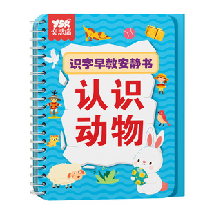 识字书幼儿认字启蒙2-6岁3宝宝早教安静书儿童认知卡片看图益智