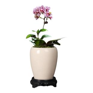 高桩花盆大号复古粗陶透气法师高盆特价清仓多肉植物带托家用陶瓷