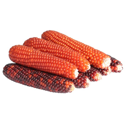 仓鼠磨牙棒玉米棒零食金丝熊专用