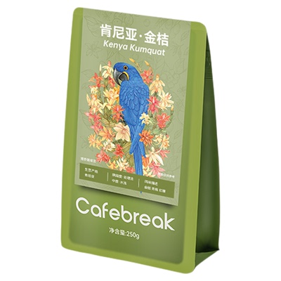 布蕾克风味精品SOE咖啡豆