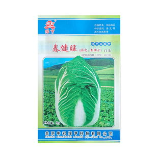 绿亨春健旺大白菜种子春季早熟50天耐抽苔耐寒包心白菜籽蔬菜种孑