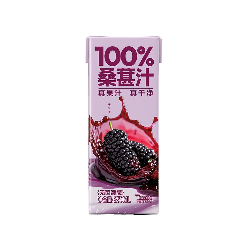 100%桑葚汁無菌冷罐工藝飲料清爽可口酸甜暢飲10盒裝