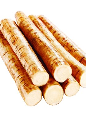 现挖特级新鲜正品榜膀野生牛蒡根