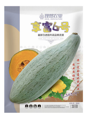 新疆丑南瓜贵族南瓜种子