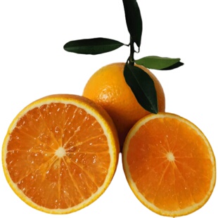 正宗红江橙廉江红橙子红江农场现摘精选送礼当季新鲜手剥水果10斤