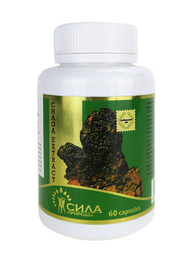 桦褐孔菌俄罗斯桦树茸