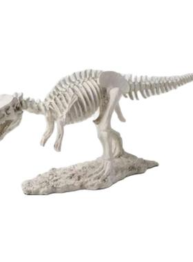 样板间儿童房恐龙化石主题摆件