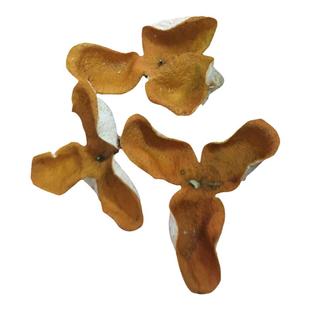 正宗广东新会10年老陈皮2025年新会青皮柑新鲜果皮干大红桔橘子皮