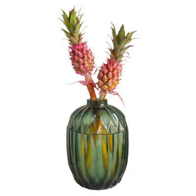 水培进口小凤梨迷你小菠萝鲜切花