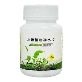 水培植物净水片除臭杀菌消毒鲜花花卉保鲜剂碗莲除藻专用净化水质