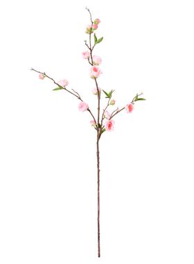 泰环长枝新中式家居客厅壁柜桃花