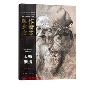 正版包邮 西方绘画大师原作高清临本 大师素描 8开 孙萌 安徽美术 青美图书专营店