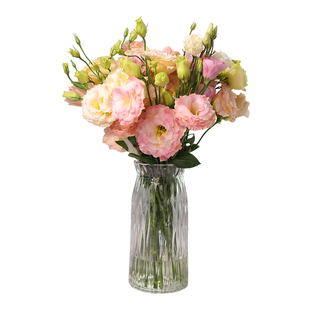 新鲜多色洋桔梗鲜花龙胆花束云南基地直发家庭办公室鲜花婚礼花材